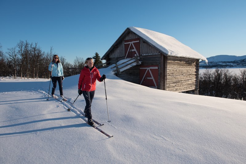 Introduction to Off Track Nordic Skiing