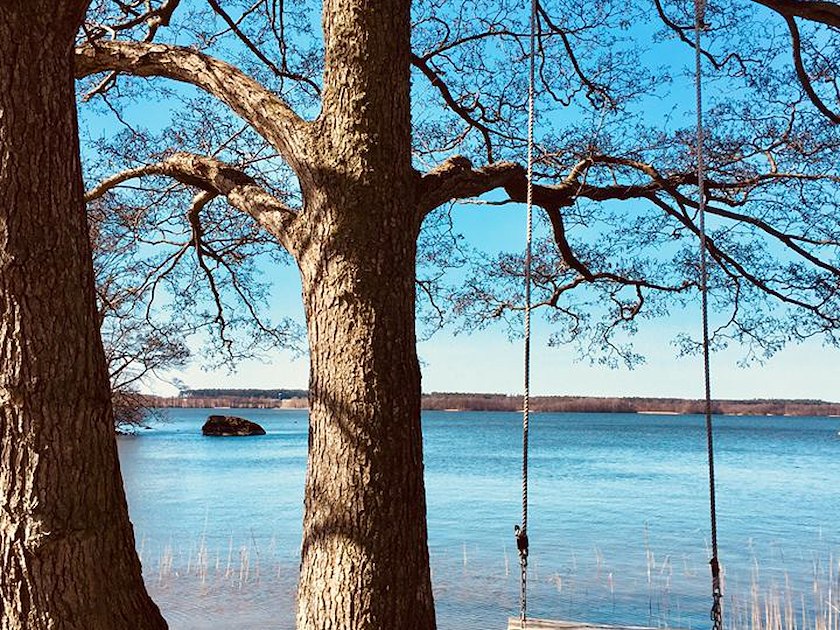 Bäckaskog Slott image 11