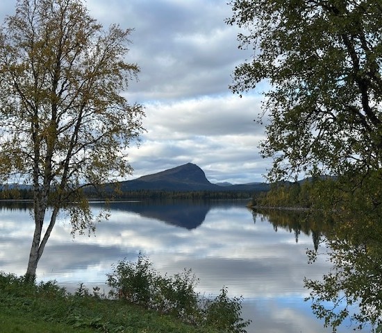 Gym, Styrketräning och motionshall -image