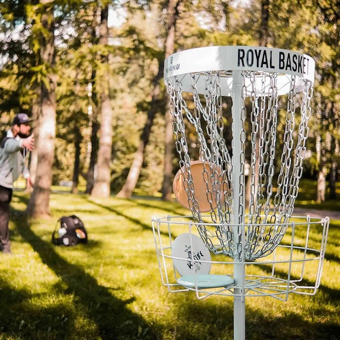 Primary image of Frisbee Golf at Villa Brunnby