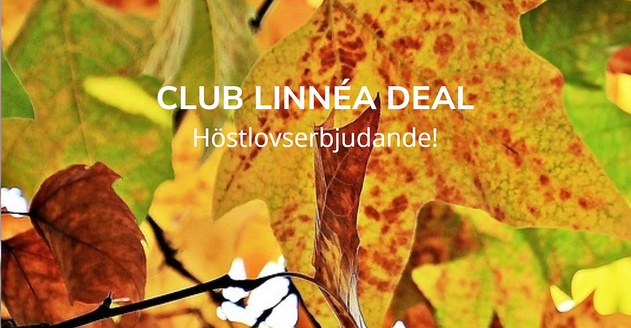 Primary image of HÖSTLOVSERBJUDANDE - CLUB LINNÉA DEAL