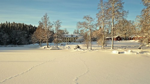 Boka Julfirande 2025