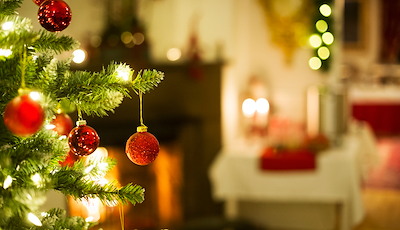 Boka Spend Christmas with us