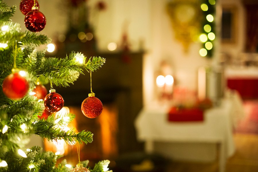 Primary image of Spend Christmas with us