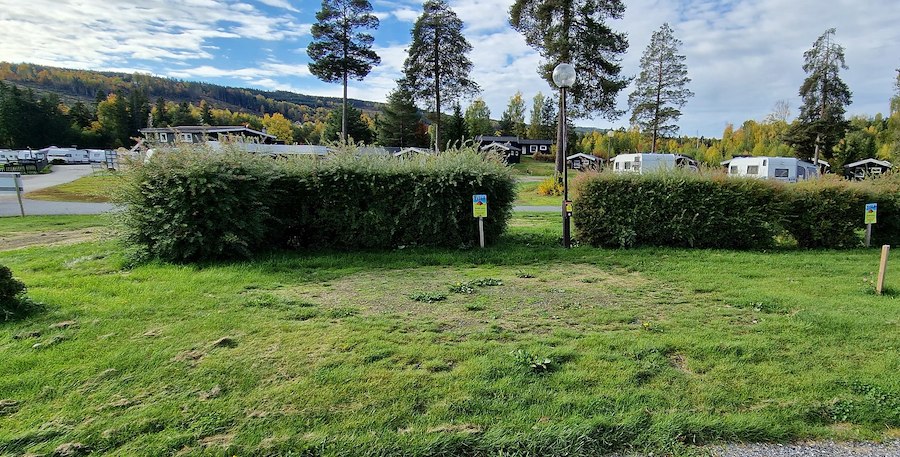 Teltplass 5