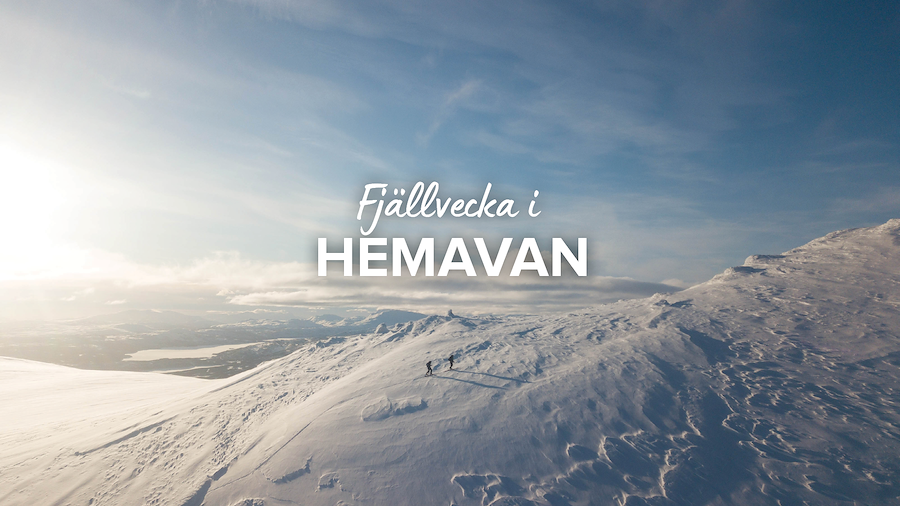 Primärbild av Fjällvecka i Hemavan