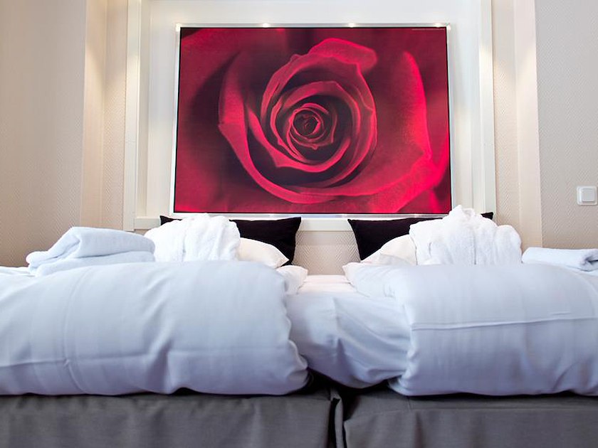 Treetop Spa, Hangout & Hotel image 10