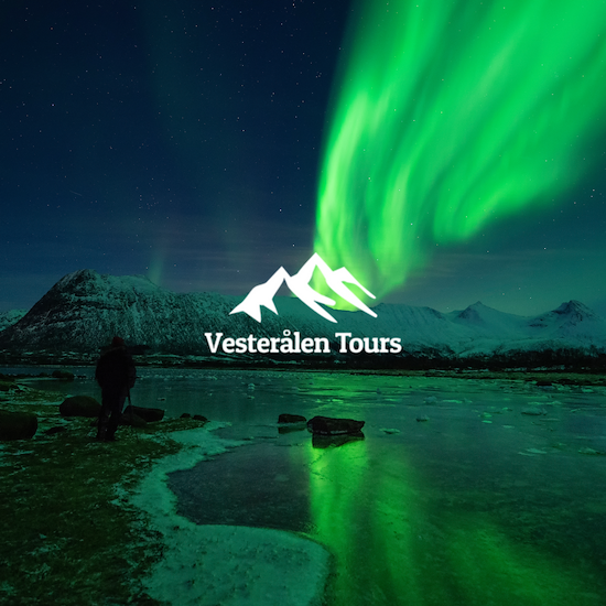 Vesterålen Tours-image