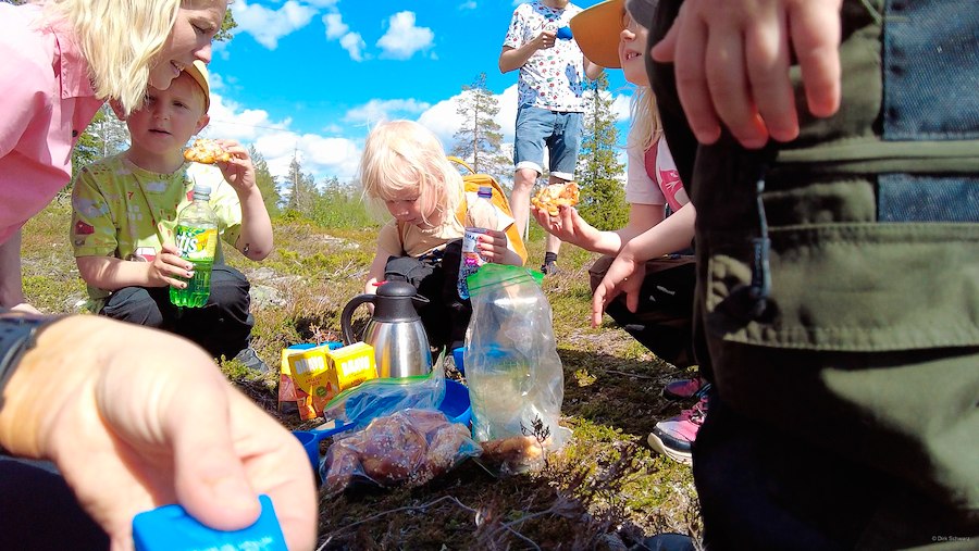 Primärbild av Vandringpaketet