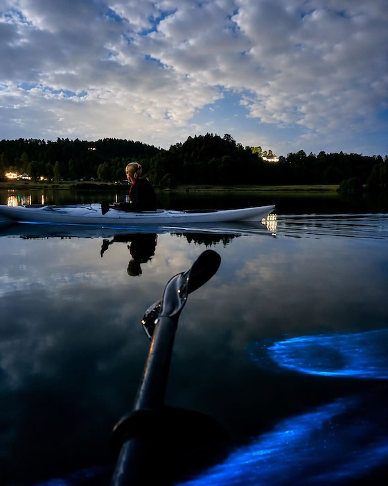 Primärbild av Mörkerpaddling och mareld