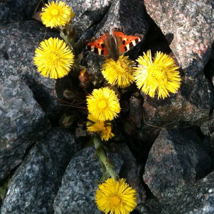 Primary image of Påsklov Camping - KustCamp Ekön