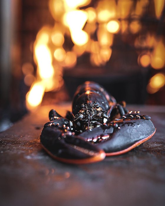 Primary image of Lobster package