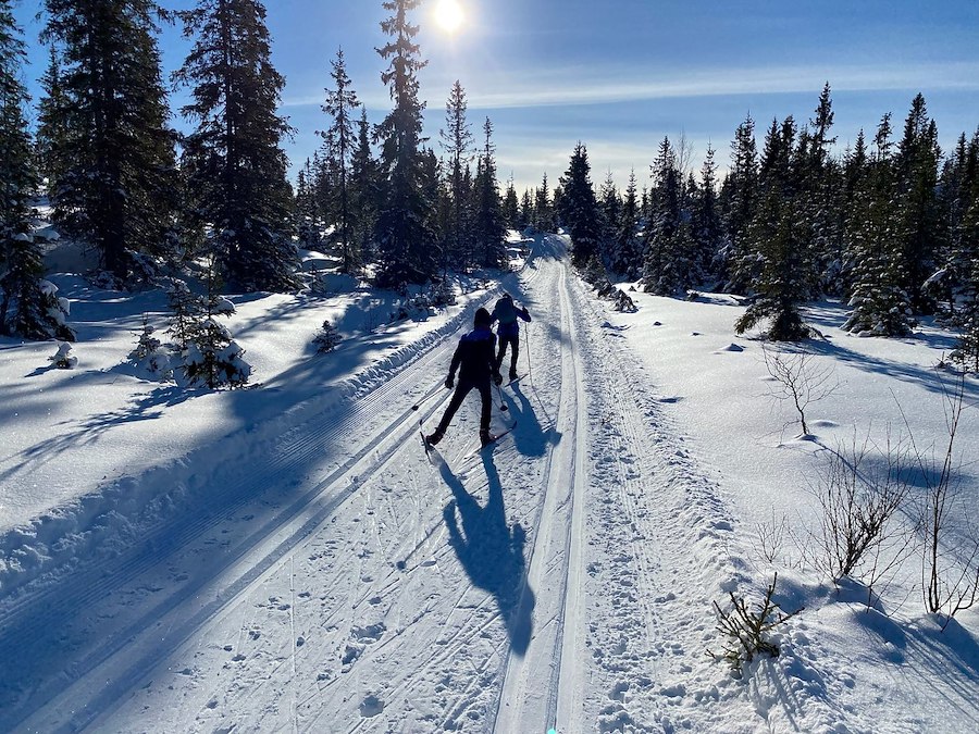 Primary image of Haven`t planned your winter holidays yet?