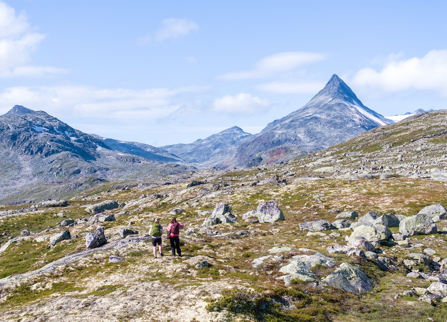 Primærbilde av Hike & Dine hos Filefjellstuene