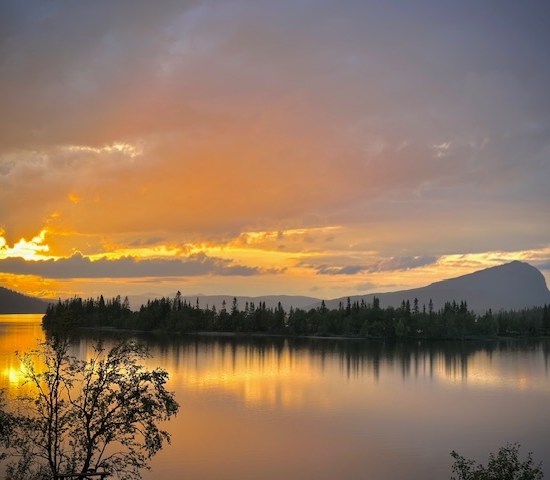 Frågor och svar! -image