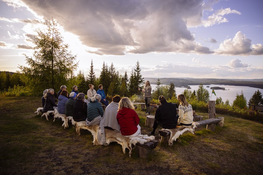 Forest Finn Experience – 1 Day