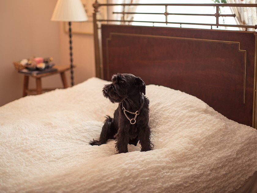 Villa Sjötorp image 0