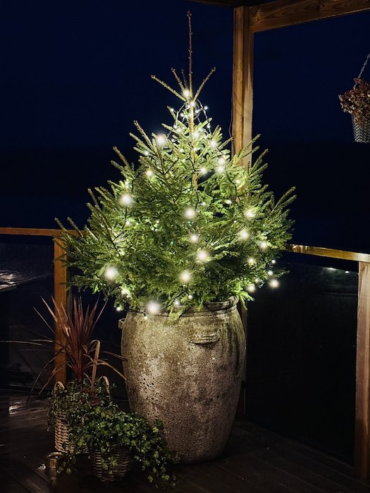 Primary image of New Year's at Nergården