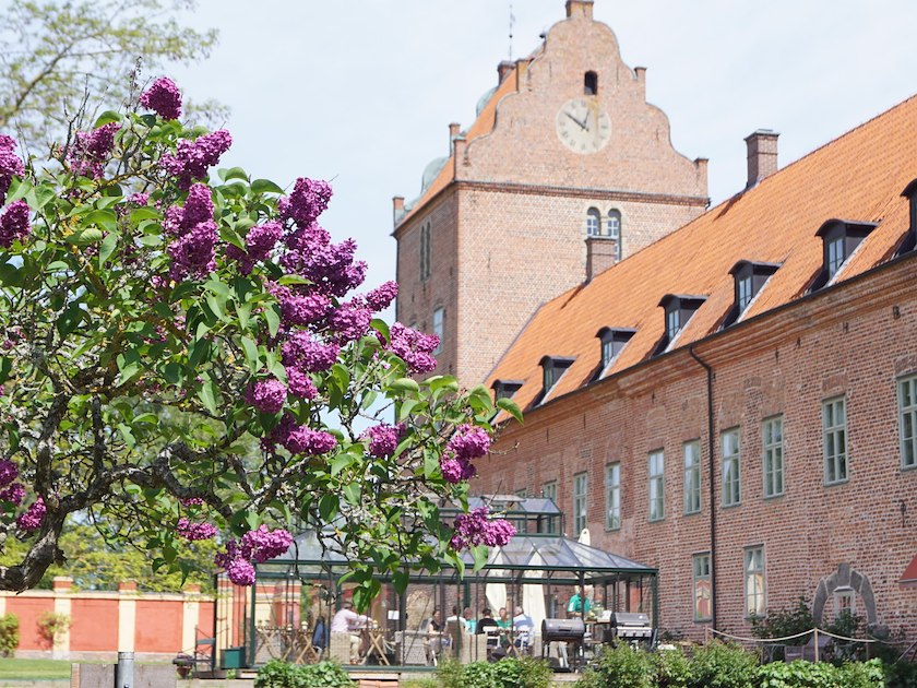 Bäckaskog Slott image 49