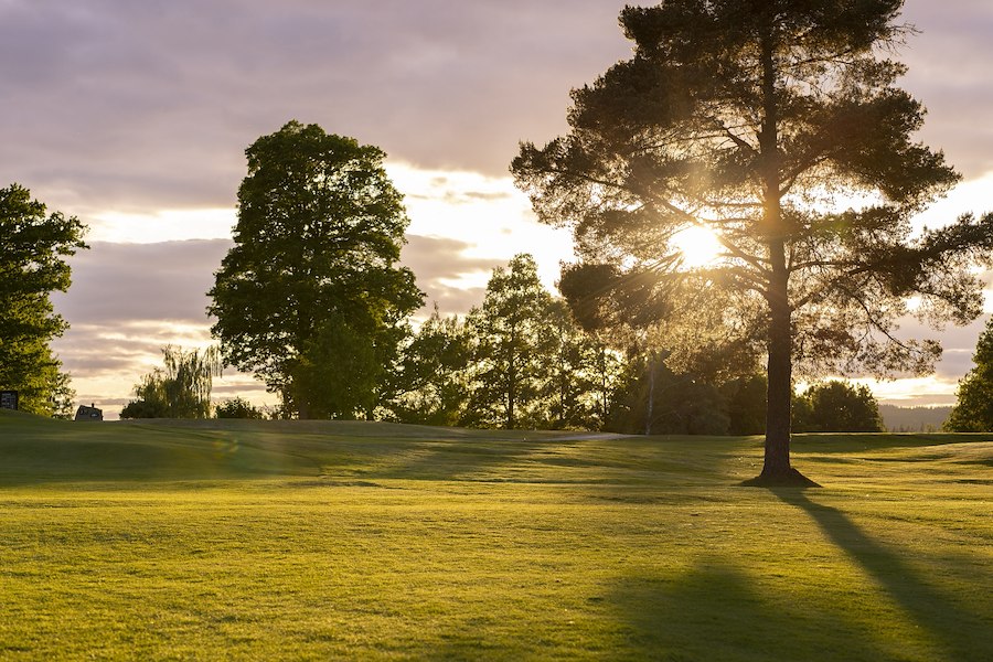 Primärbild av Vårens första slag