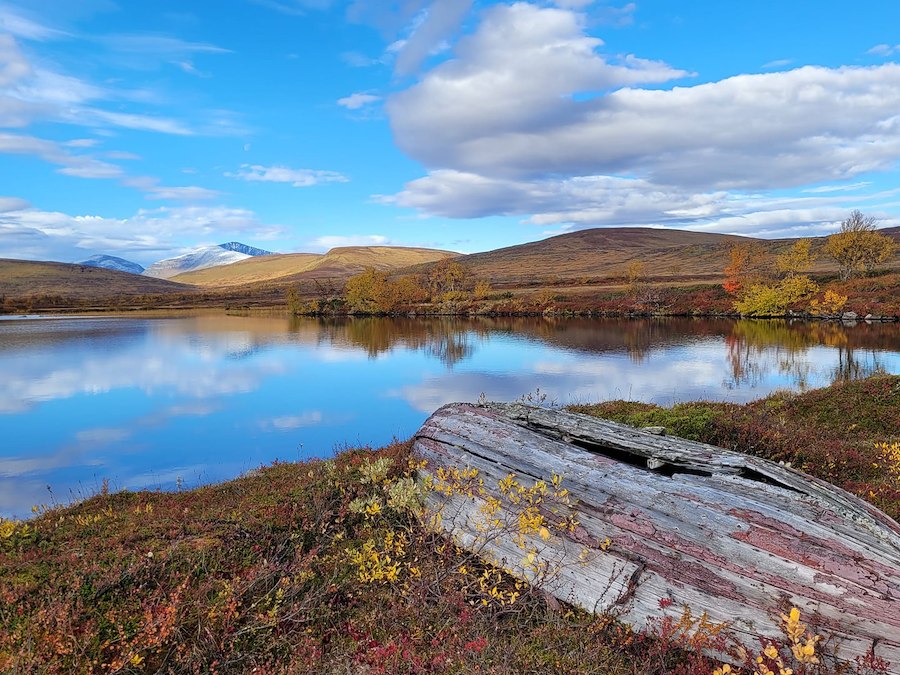 Primärbild av Välj själv din ankomst- och avresedag.