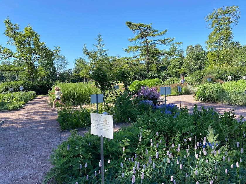 Bäckaskog Slott image 2