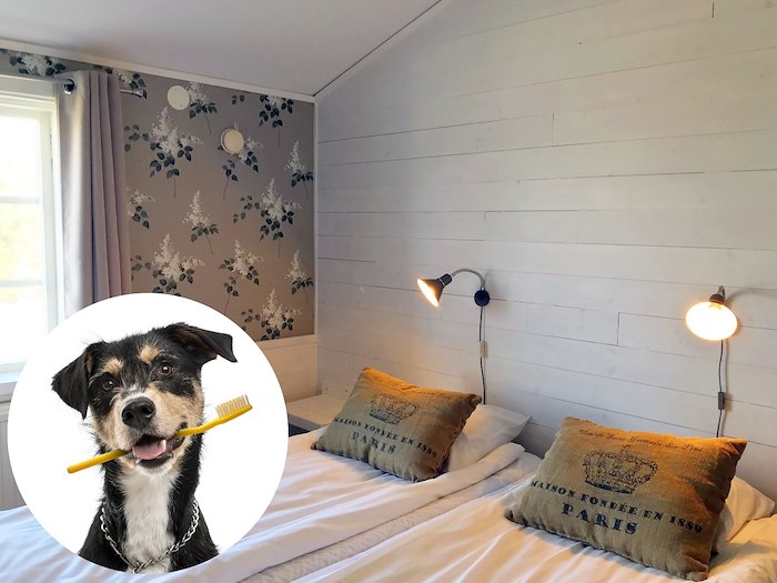 Double Room Courtyard Pet-Friendly
