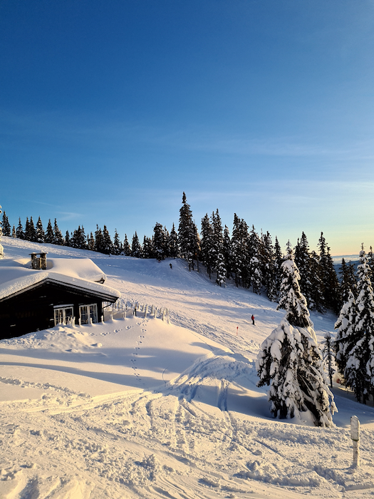 Primærbilde av Ski in/out alpint
