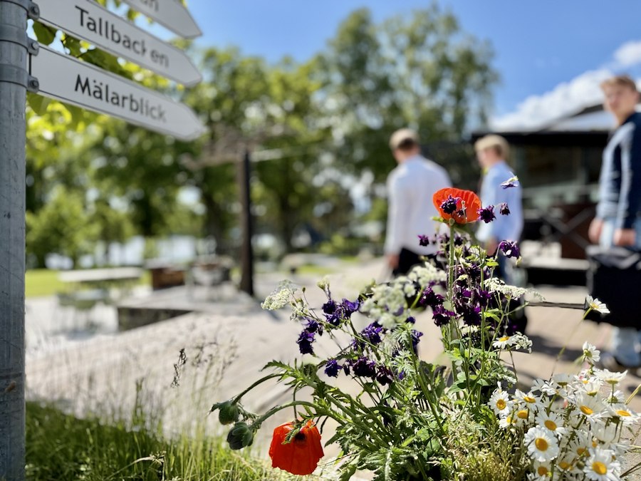 Primärbild av Sommar på Sånga