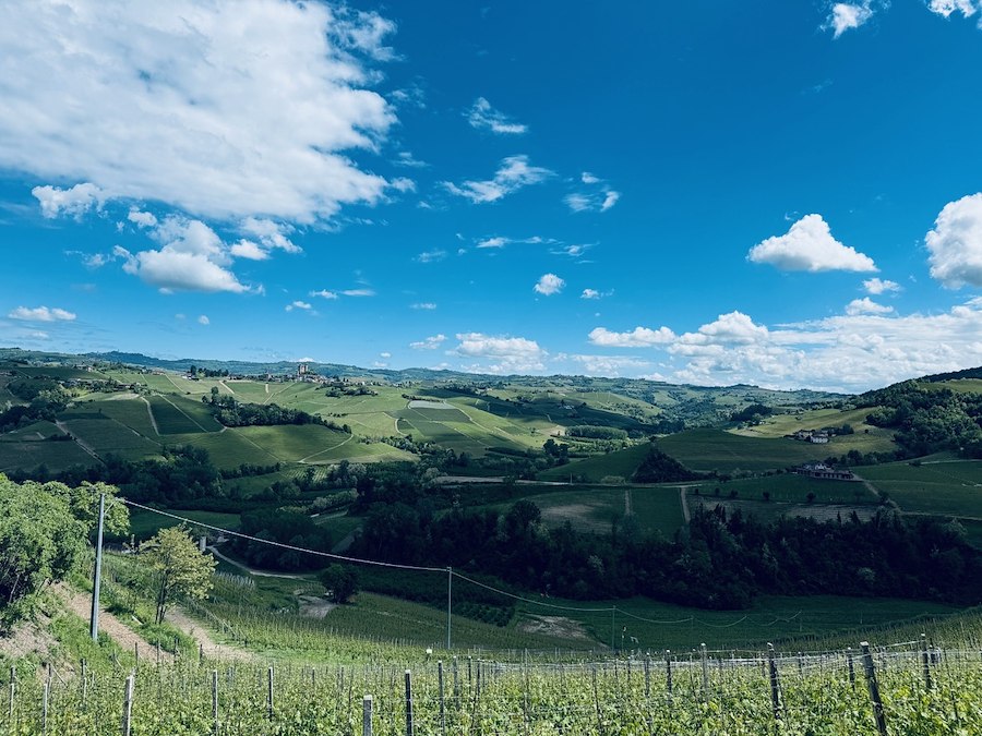 Primary image of Piedmont & Nergården - Wine & Food