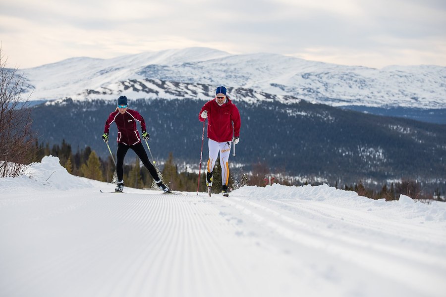 Primärbild av Längdläger Skate 20-22 Februari & 6-8 Mars