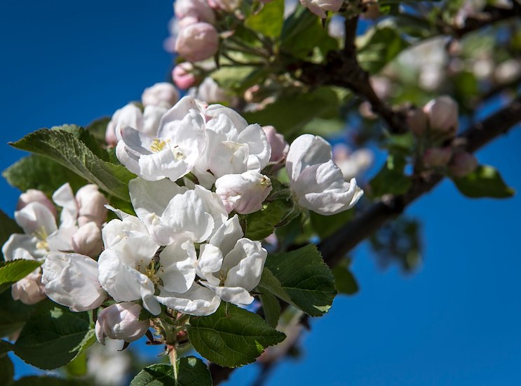 Privacy Policy-image