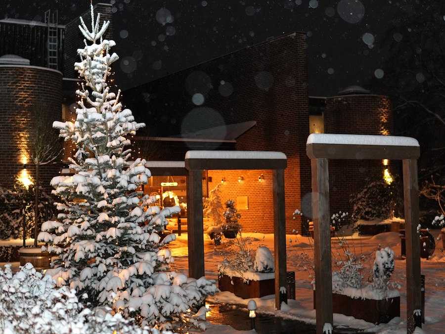 Primärbild av WINTER AFFAIRS