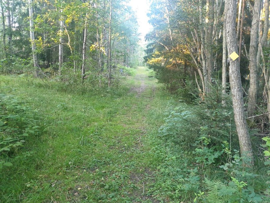 Hiking in historic archipelago environment