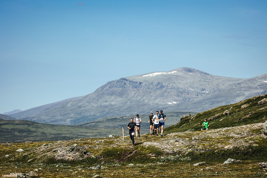 Primärbild av Helags Fjällmara