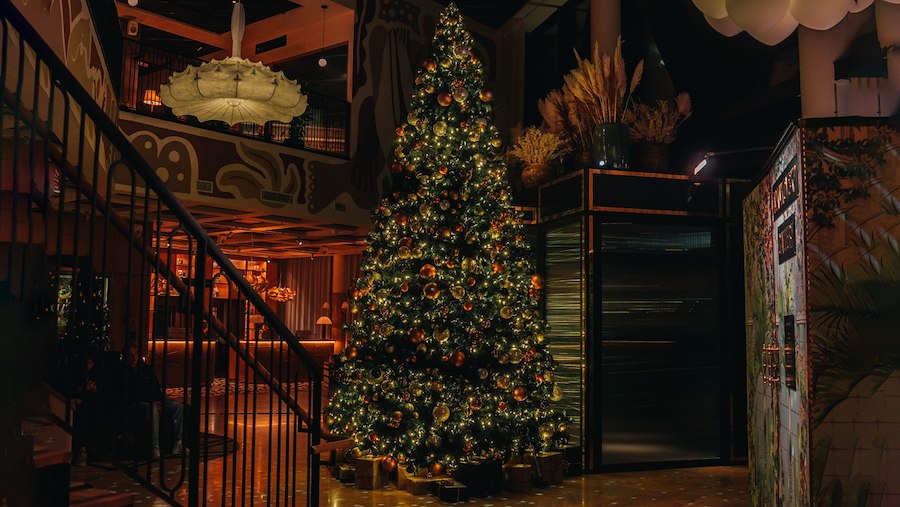 Primärbild av DECEMBER HOLIDAY 30% OFF