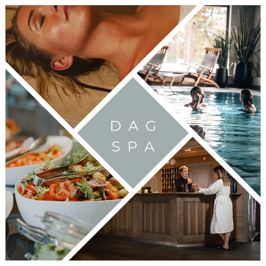 Dagspa