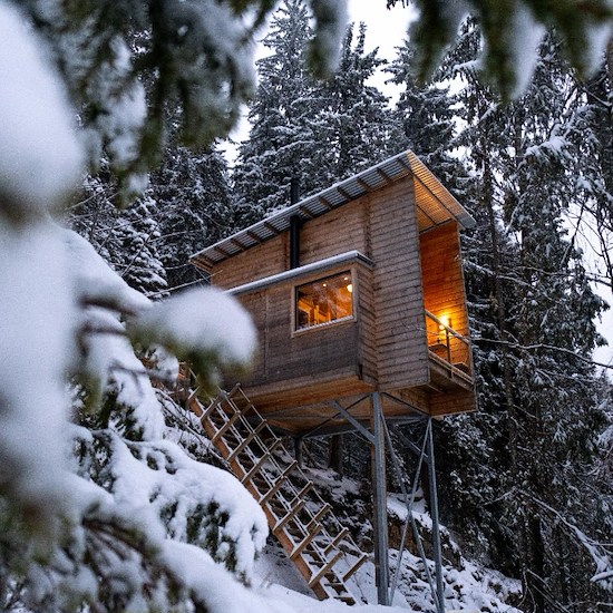 Experience unique accommodation in Eastern Norway at LAUV Tretophytter.-image