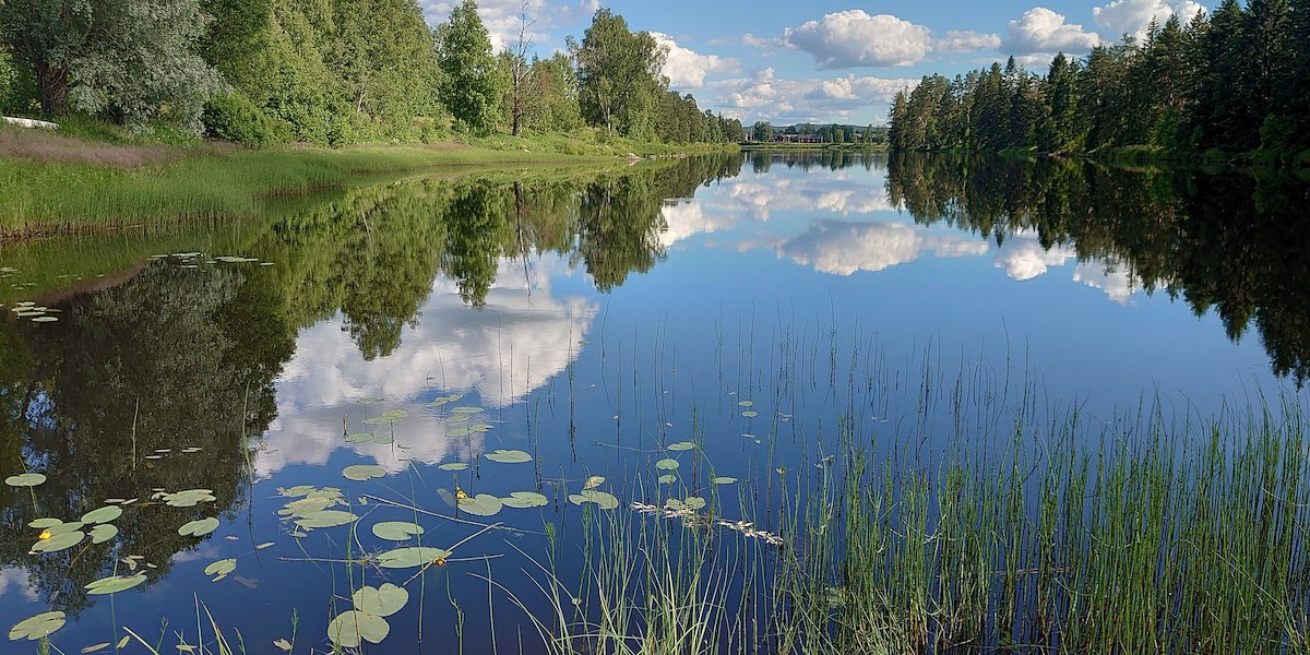 Äppelbo Gästgiveri image 5