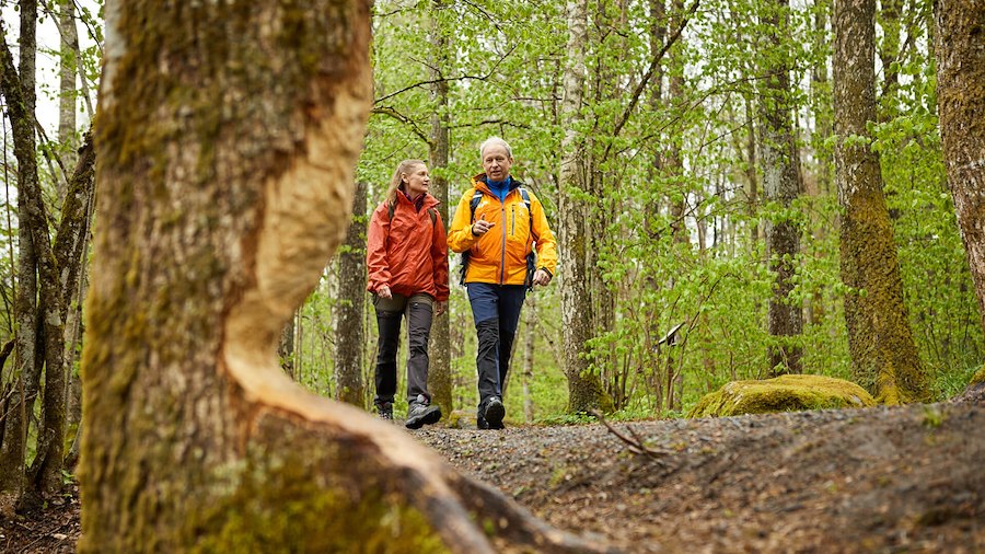Primärbild av Vandringspaketet