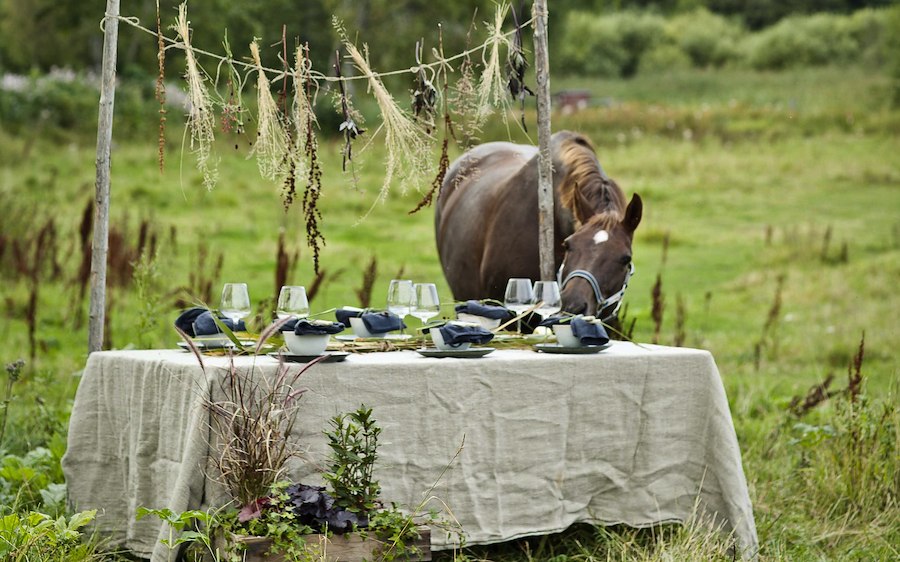 Primary image of Midsummer at Siggesta