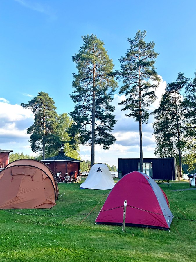 Tent pitch with electricity - Maximum 8 sq m