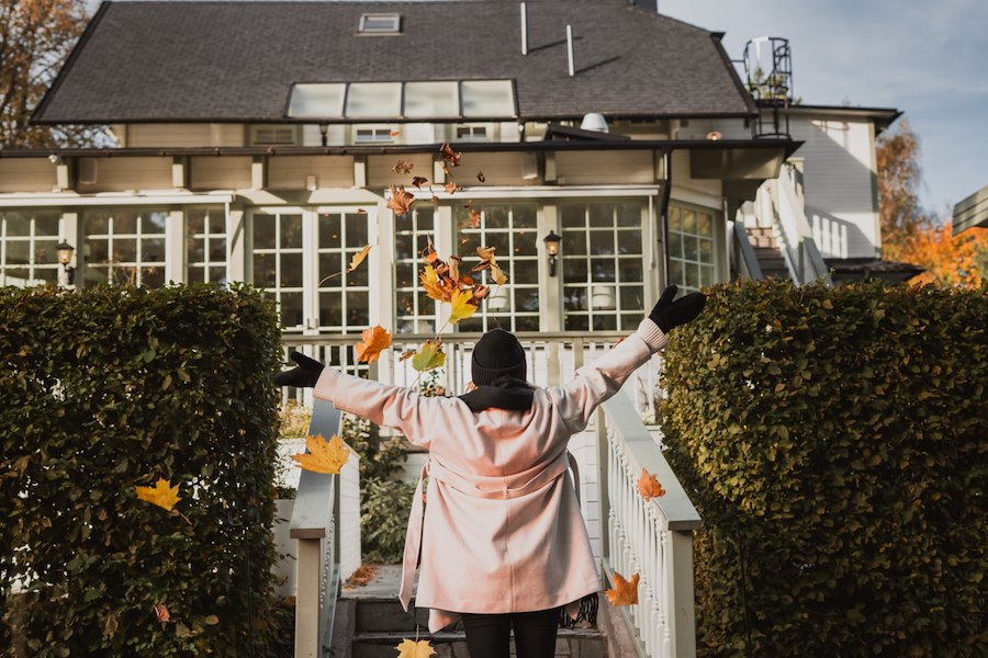 Primary image of FALL IN LOVE