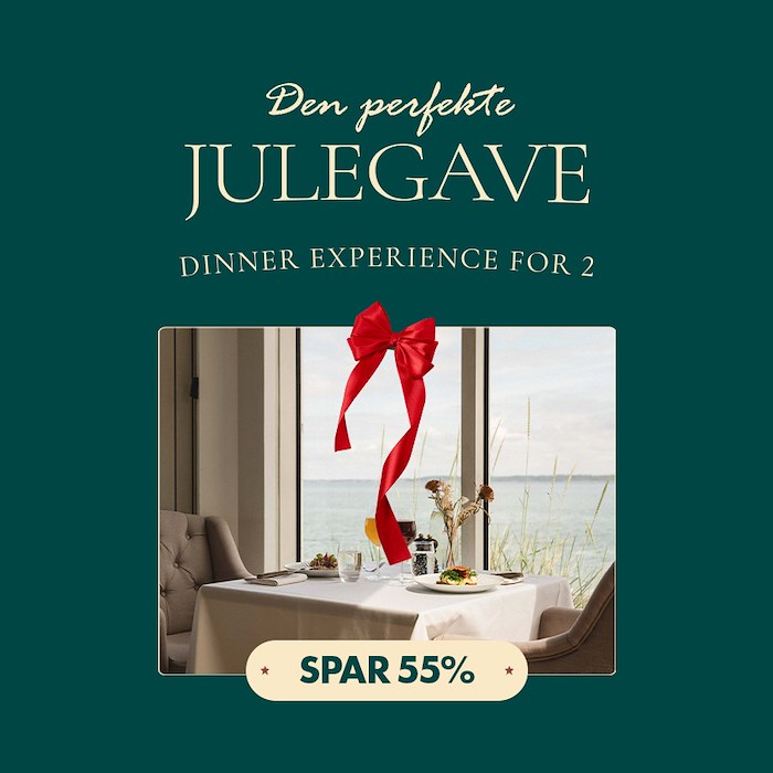 voucher-JULEGAVE 2026 EARLY BIRD - SPAR 55% - DINNEREXPERIENCE