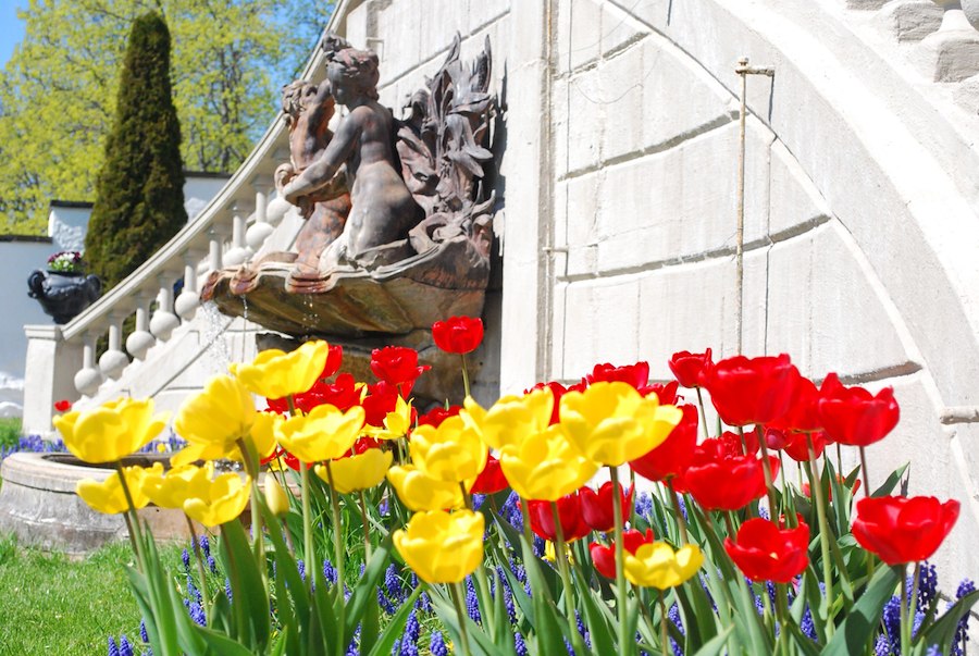 Primärbild av PÅSKLOV PÅ SLOTTET