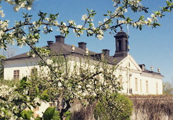 Hauptbild von Spring fling