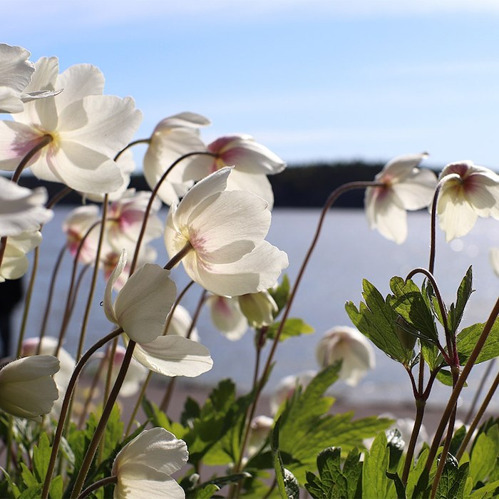 Primary image of Easter Stay