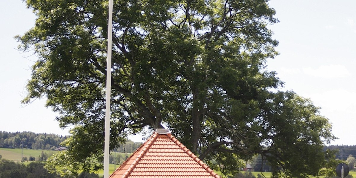 Dal Gjestegaard image 10