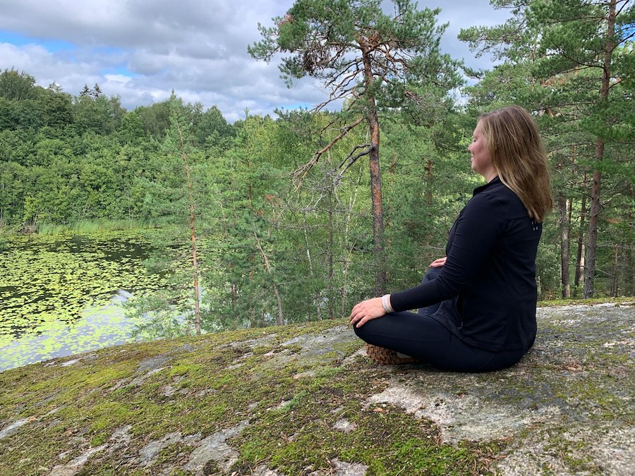 Primärbild av 7-9 November - Spiritbird Höstretreat