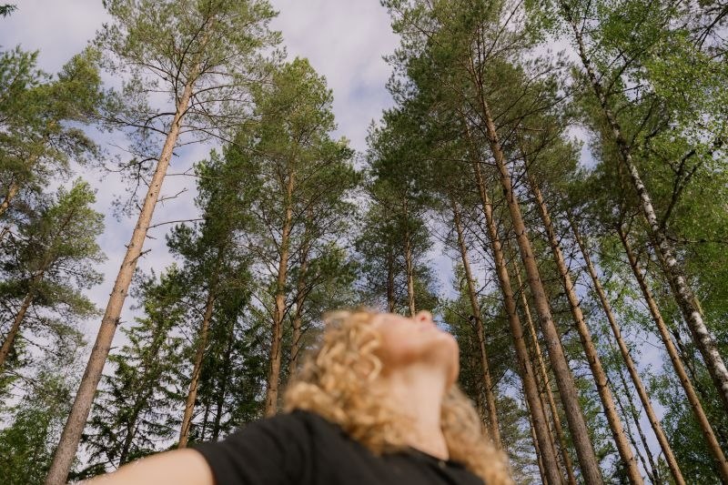 Skogens meditasjon